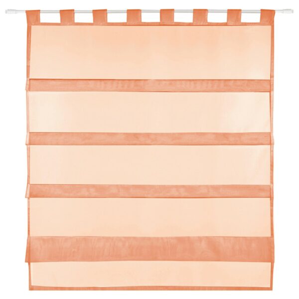 Bestlivings Sky Gardine Raffoptik Schlaufe 90 cm x 110 cm Apricot