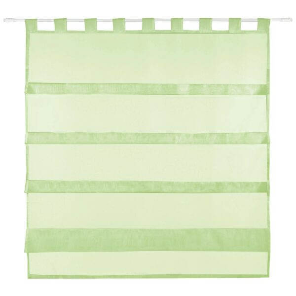 Bestlivings Sky Gardine Raffoptik Schlaufe 100 cm x 110 cm Grün