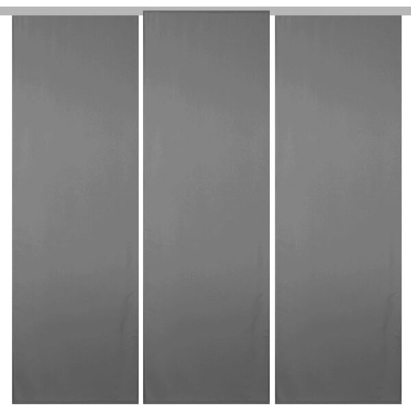 Bestgoodies Flächenvorhang Ellen 3er Pack Anthrazit