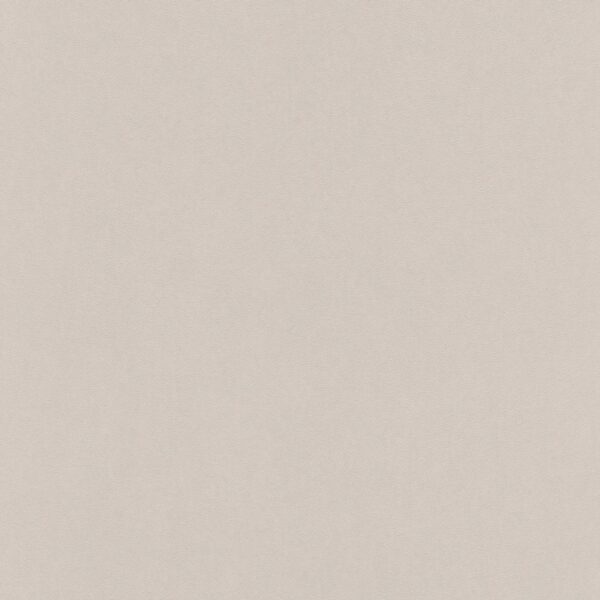 Bricoflor Einfarbige Tapete in Taupe 634237