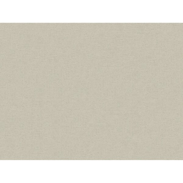 A.S. Création Vliestapete Ethnic Origin Uni Taupe FSC®
