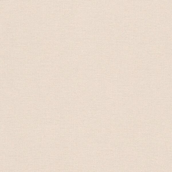 Rasch Vliestapete Salsa 448504 Uni Beige 10