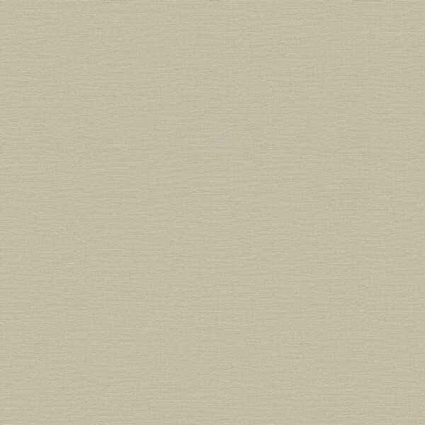 Bricoflor Beige Tapete Scheuerbeständig Uni Vliestapete Ideal für Wohnzimmer und Schlafzimmer Im Ethno Chic